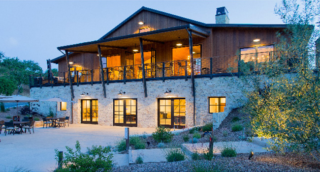 Paso Robles vineyard in winter