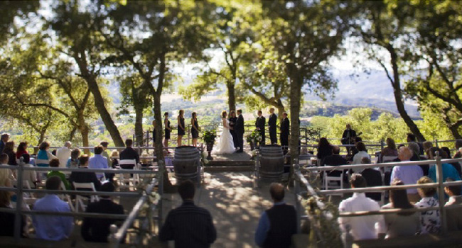 Tasting wine in the vineyard